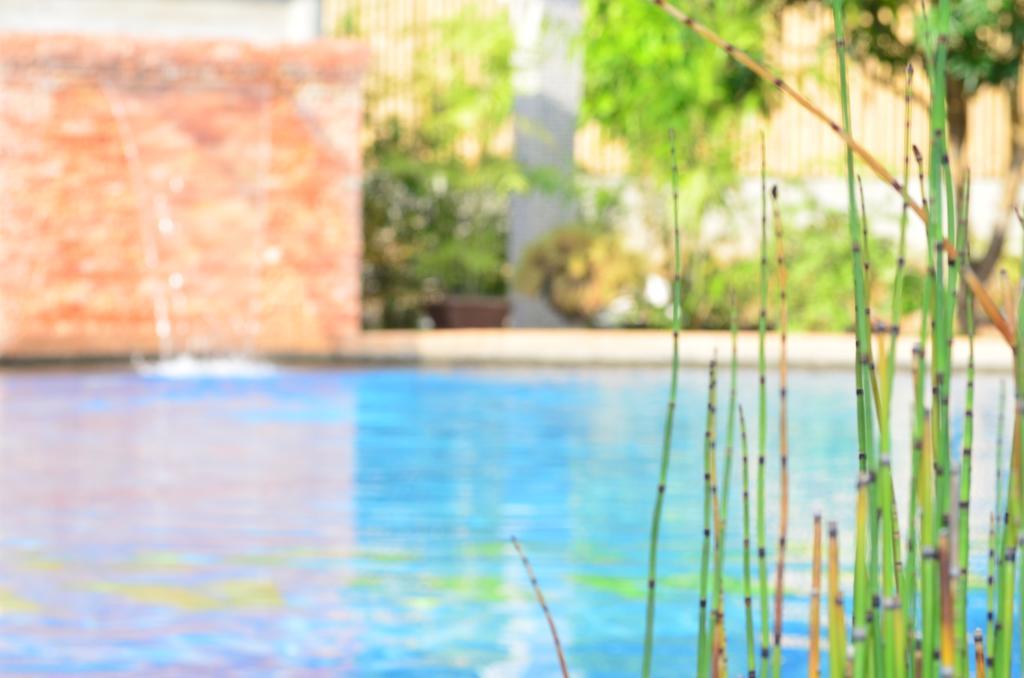 Resort Veraneante