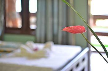 Resort Veraneante Panglao